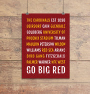Arizona Cardinals Subway Poster