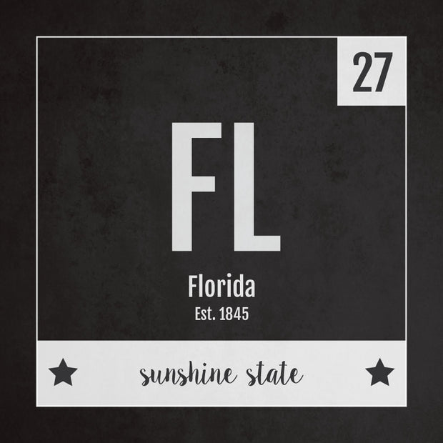 Florida US State Print