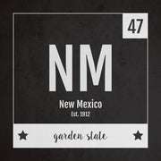 New Mexico US State Print