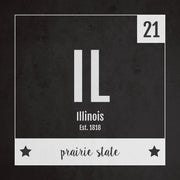 Illinois US State Print