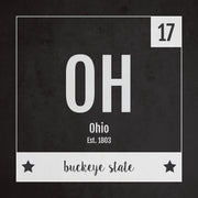 Ohio US State Print
